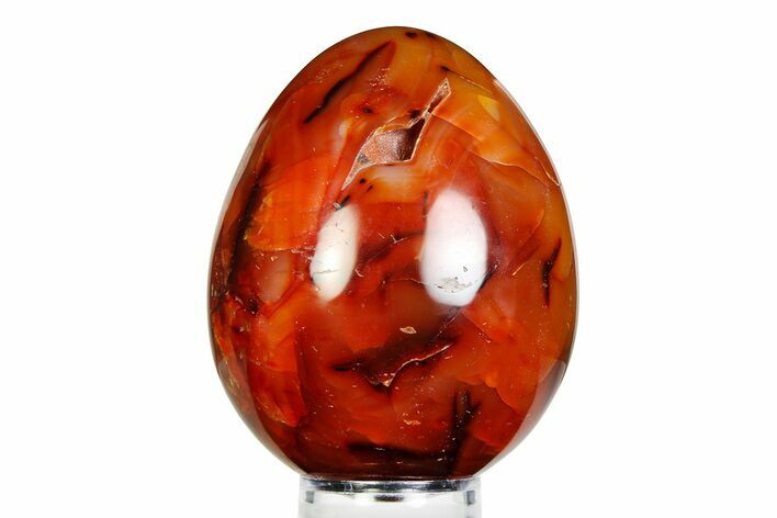 Vibrant Polished Carnelian Agate Egg - Madagascar #355497